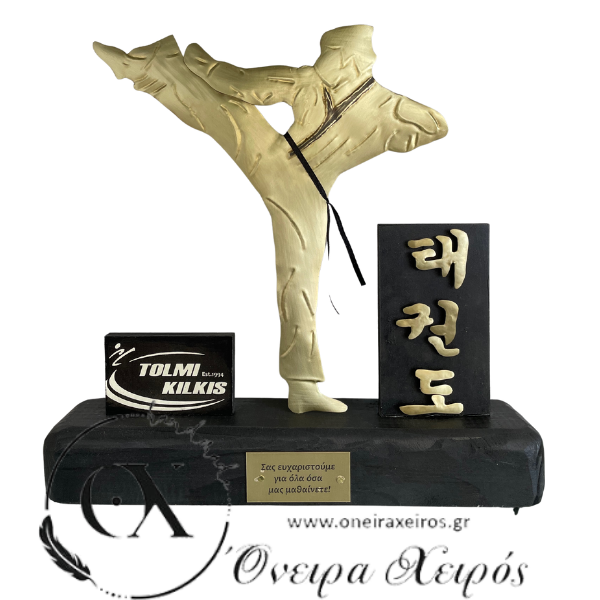 Δώρο για σχολή taekwondo 