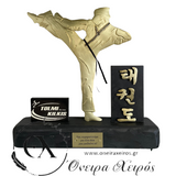 Δώρο για σχολή taekwondo 
