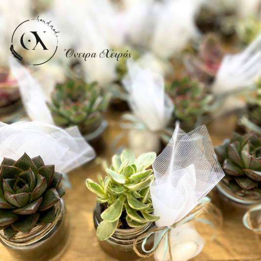 Μπομπονιέρα γάμου με παχύφυτα σε γυάλινο βαζάκι μπομπονιέρες Αργυρούπολη όνειρα χειρός 