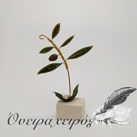 ελιά κλαδί ελιάς